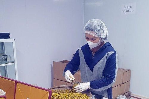 Hải Phòng: Hàng trăm hộ nông dân 'đổi đời' nhờ trồng hoa cúc chi