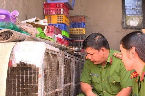 Phát hiện người đàn ông nuôi nhốt nhiều động vật quý hiếm sau nhà