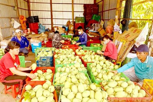 Hơn 97% nông, thủy sản trên thị trường đạt yêu cầu về an toàn thực phẩm