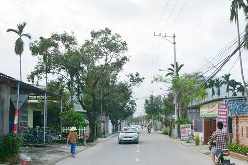 Ông Xuân môi trường