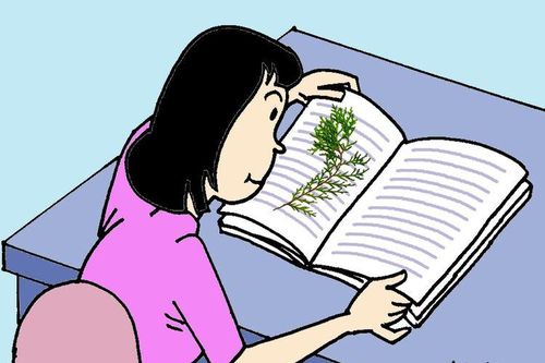 'Nghe đồn' có loại lá cây khi kẹp vào tập vở không học vẫn thuộc bài phải hông ông giáo?