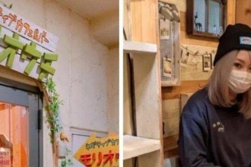 Độc lạ quán cà phê ở Tokyo chỉ phục vụ cho những người tiêu cực, nhạy cảm