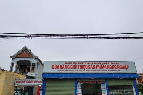 Vụ lợn dự án cấp cho dân bị ốm, chết: Thông tin bất ngờ từ đơn vị tiêm phòng