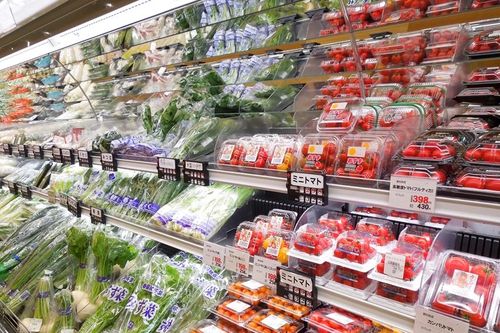 Cảnh báo: Nhựa vẫn đang 'hiện diện rộng rãi' trong thực phẩm