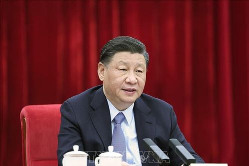 'Kiến' và 'ruồi' mà Chủ tịch Trung Quốc Tập Cận Bình cam kết xử lý là đối tượng nào?