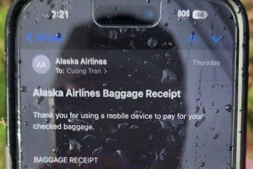 Máy bay chở 177 người bị bung thân giữa trời: Phát hiện khó tin về chiếc iPhone trong bụi cỏ