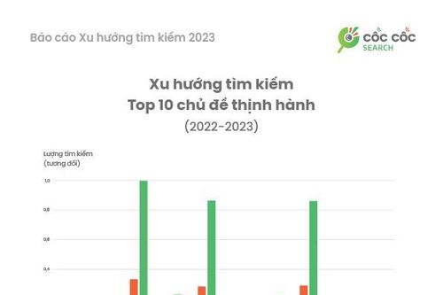 Người Việt tìm kiếm gì trên mạng internet năm 2023?