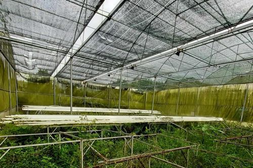 Sai phạm tại Sở KH-CN Quảng Ngãi - Bài 4: Thanh tra Chính phủ vào cuộc