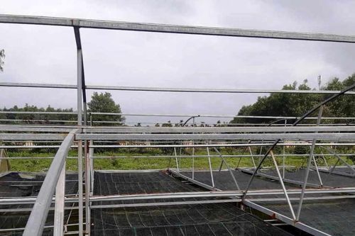 Sai phạm tại Sở KH-CN Quảng Ngãi: Khởi tố vụ án hình sự
