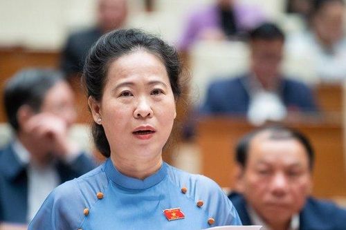 Lý do cần phân bổ vốn cho EVN kéo điện lưới ra Côn Đảo