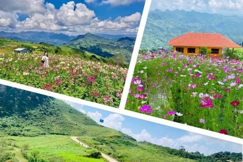 Mù Là - Điểm đến mùa Xuân