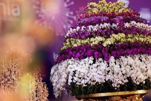 Chậu lan hồ điệp dát vàng đắt nhất Việt Nam, chủ nhân 'hét giá' 3,86 tỷ đồng