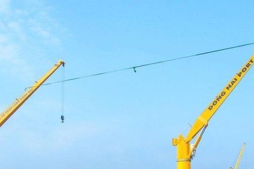 Cảng Đồng Nai báo doanh thu và lợi nhuận đạt kỷ lục