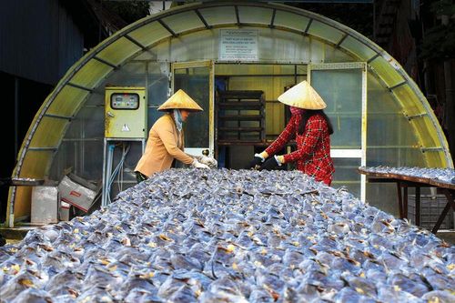 Trợ thủ đắc lực của nhà nông