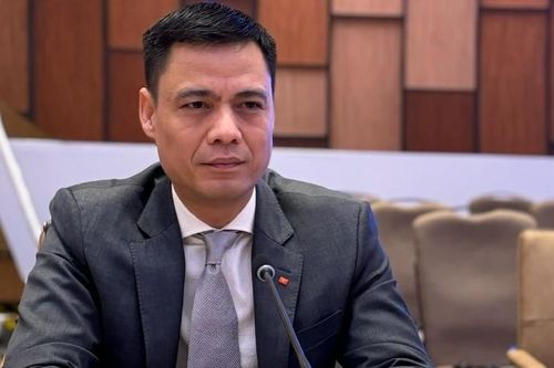 Đại sứ Đặng Hoàng Giang: Việt Nam tiếp tục nhấn mạnh tăng cường đoàn kết là cơ sở sức mạnh của Phong trào Không liên kết