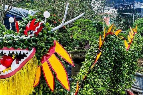 Độc đáo quất tạo hình rồng, trả giá hàng chục triệu đồng chưa bán