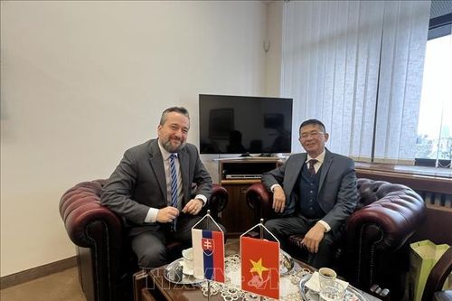 Lãnh đạo Quốc hội Slovakia đánh giá cao tăng trưởng bền vững của nền kinh tế Việt Nam