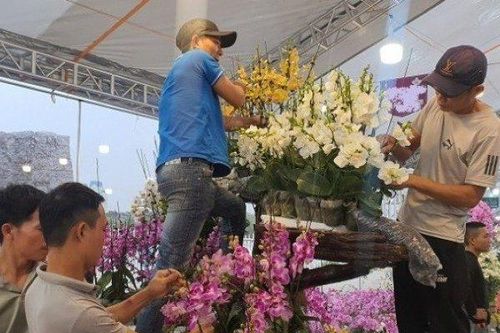 Công việc này có thể kiếm hàng chục triệu đồng một ngày, gần Tết làm không hết việc