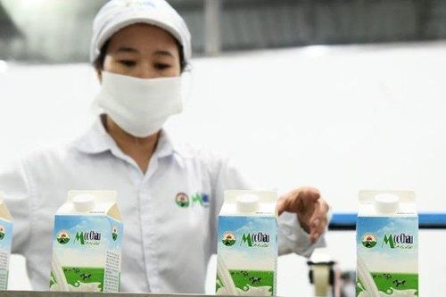 Nhờ đâu Mộc Châu Milk báo lãi kỷ lục?