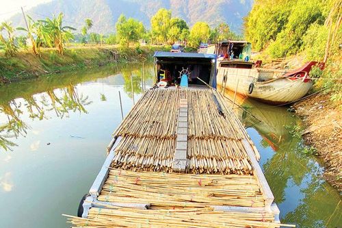 Chợ tầm vông Bảy Núi