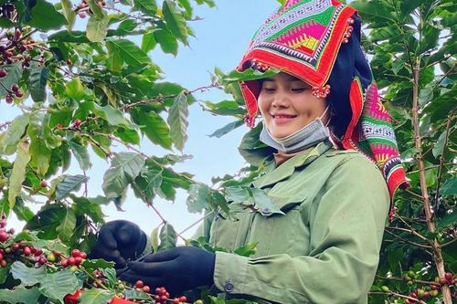 Quỹ IIX hỗ trợ huy động 500.000 USD cho doanh nghiệp tạo tác động xã hội tại Việt Nam