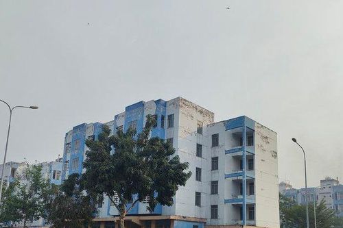 Hơn 10 năm đưa vào sử dụng, khu tái định cư 1.000 tỷ đồng bây giờ ra sao?