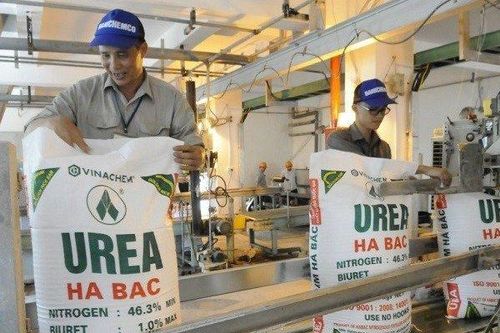 Đạm Hà Bắc lãi đột biến trong quý IV/2023 nhờ xóa lãi vay ngân hàng