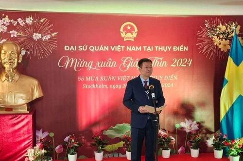 Tưng bừng Tết cộng đồng '55 mùa xuân Việt Nam-Thụy Điển'