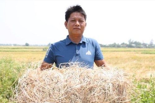 Anh nông dân kiếm tiền tỷ mỗi năm từ thứ vứt bỏ đầy đồng