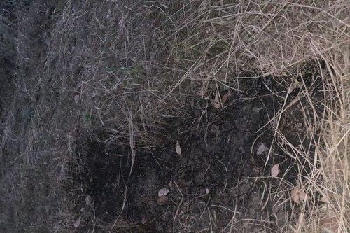 Vụ mặt đất tự bốc cháy ở Đắk Lắk: Ghi nhận hơn 20 điểm cháy