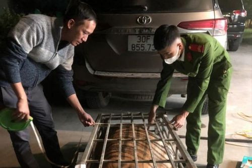 Chở hổ sống hơn 2 tạ, tài xế đạp cửa tẩu thoát bất thành