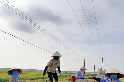 Thúc đẩy kinh tế nông nghiệp xanh