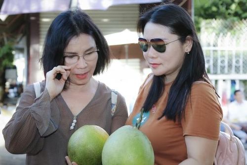 Khấp khởi vụ bưởi Tết
