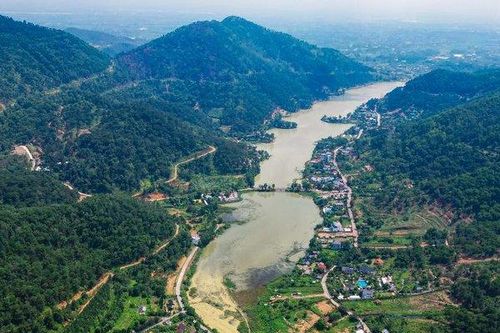 Hà Nội: 45 công trình vi phạm đất rừng Sóc Sơn chưa bị xử lý
