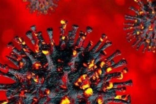 Biến thể virus SARS-CoV-2 JN.1 mới xuất hiện tại TPHCM: Bộ Y tế nói gì?