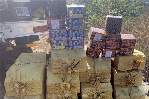 Điều tra vụ tàng trữ, vận chuyển, mua bán hơn 1 tấn pháo nổ