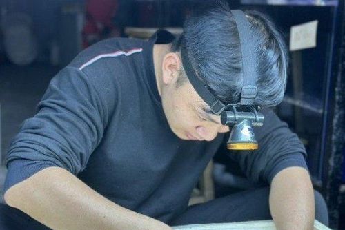 Nghề lạ ở Hà Nội: Phẫu thuật thẩm mỹ cho cá, sơ sẩy 'bay' cả chiếc ô tô