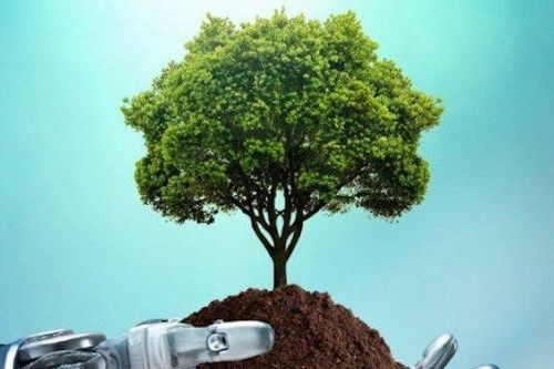 'Khoảng cách Xanh' là gì, Việt Nam xếp hạng ra sao trong khu vực?