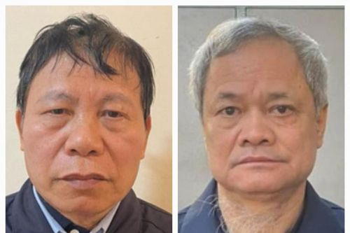 Hai ông Nguyễn Nhân Chiến và Nguyễn Tử Quỳnh bị bắt phơi bày điều gì?