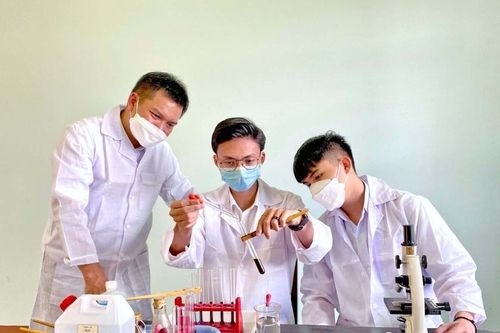 Gia Lai triển khai hưởng ứng Ngày khoa học và công nghệ Việt Nam