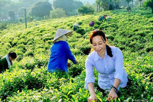 Đồng bào Công giáo đoàn kết, giúp nhau làm giàu