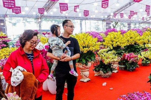 Lan hồ điệp đổ bộ Thủ đô giá hàng chục triệu hút khách dịp Tết