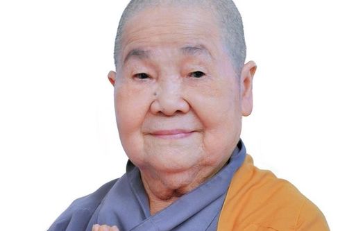 Ni sư Thích nữ Như Lan, trụ trì tịnh thất Ngọc Thọ (Q.Tân Bình, TP.HCM) viên tịch