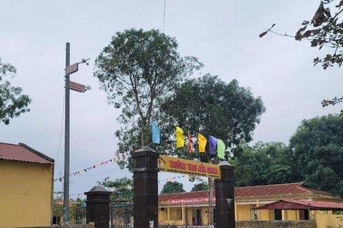 Kỷ luật 8 nữ sinh tham gia vụ luân phiên nhau đánh bạn học