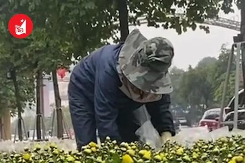 Thành phố Vinh trang trí đường hoa đón Tết
