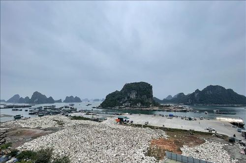 Lợi ích kép từ tái chế phao xốp sau chuyển đổi ở Quảng Ninh