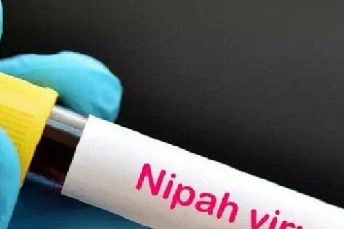 Bangladesh ghi nhận ca tử vong đầu tiên do virus Nipah trong năm 2024