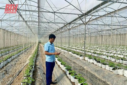 Phát huy nội lực chuyển đổi số trong các HTX