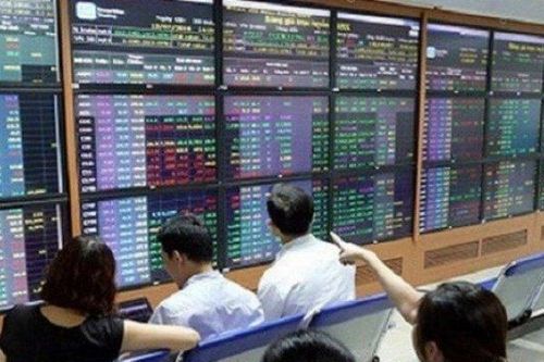 Một cổ phiếu tăng trần 10 phiên liên tiếp: Lãnh đạo doanh nghiệp nói gì?