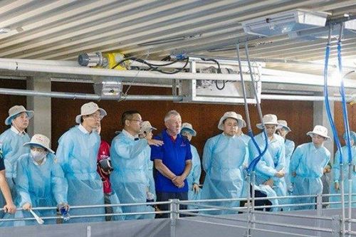 Tập đoàn Vinafeed khánh thành trang trại nuôi heo công nghệ cao Vina Farm - Tây Ninh 1